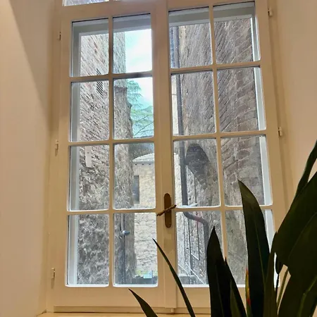 Jungle Loft Private Wellness Downtown Appartement *