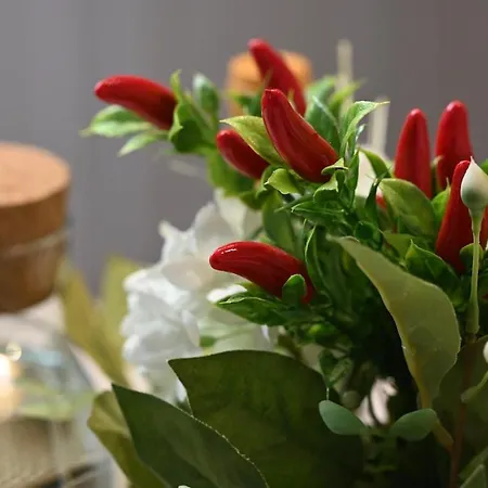 Jungle Loft Private Wellness Downtown Appartement Perugia